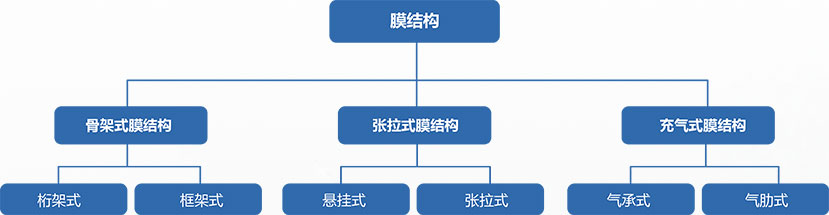 膜结构分类